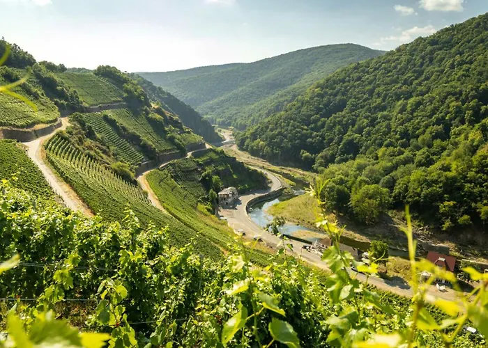 Exklusive Mit Ahrblick 1 Und Dachterrasse Apartamento